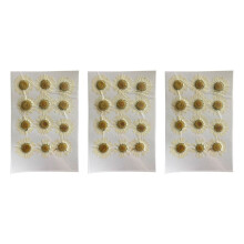 Natural Dried Flowers White Daisy Pressed Flower for Jewelry Nail Stickers Dried Chrysanthemum