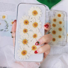 Natural Dried Flowers White Daisy Pressed Flower for Jewelry Nail Stickers Dried Chrysanthemum