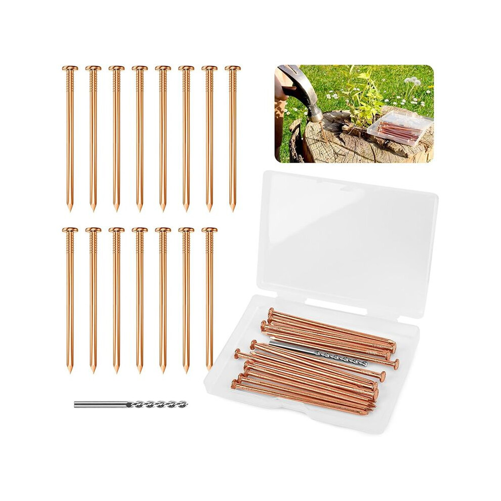 25 Pieces Copper Nails For Killing Tree Stump 3.15 Inch Copper Nails With Drill, Stake Removal Nailer For Trees 4712089722594