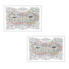 Impressões de Arte de Parede em Tela Abstrata, Pôster Do Healing Web Chart, Decoração de Parede Inspiradora, Pôster Natural e Bem-Estar