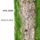 5X Artificial Bark Decoration Real Dried Pine Tree Bark with Artificial Moss 3
