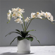 Phalaenopsis Orchids Leaves Artificial Real Looking Latex Contact Plants Green Faux Leaf Arrangement,12 PCS