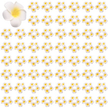 1000Pcs White Foam Hawaiian Frangipani Artificial Plumeria Flower Petals Cap Hair Hat Wreath DIY Wedding Decoration 5cm