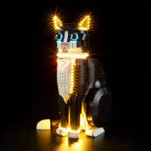 LED Light Kit for 21349 Tuxedo Cat with Hidden Wires and Bright Display Lighting Set