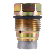 1110010015 1110010017 1110010018 1110010028 Fuel Rail Pressure Valve Relief Limiter Valve for DAF