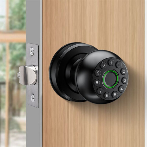 Password Lock Fingerprint Door Lock App Remote Control Passcode Unlock Electronic Touchscreen Keypad Indoor 1