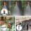 300 STÜCKE Einstellbare Garten TropfbewäSserung NebeldüSe Micro-Flow Dripper Spray GartengeräTe 8