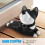 Fermaporta, Simpatico Fermaporta per Cani Fermaporta per Husky Fermaporta Decorativo Fermaporta per Animali 6