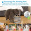 6 Pack Cat Water Fountain Filter, Diameter 4.1 Inch Filter Apply to Automatic Pet Fountain Filter Replacement 5