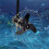 Propellerskydd  Propellerskydd Robusta Propellerskydd Trollingmotor Propellerskydd för Bogsermotor 7