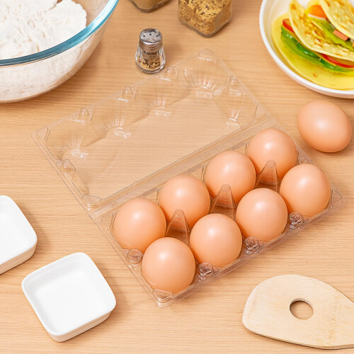 200 Pack Clear Plastic Egg Cartons 2x4 Grid with Secure Locking Buckles for Medium Chicken Eggs 2