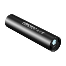 365NM UV Lamp for Vegetable Bordeaux Mixture Vitriol Detection Fluorescent Agent Detection USB Charging