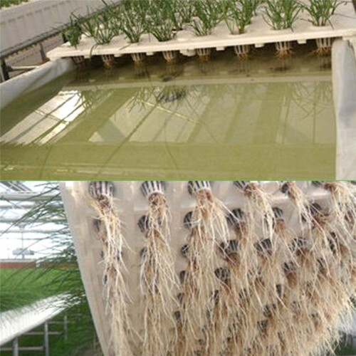 Plant Planting Baskets Vegetable Planting Baskets Hydroponic Planting Baskets A
