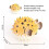 2X Pufferfish Figurine Realistic Plastic Wild Pufferfish Figurine Set for Collection Science Educational Prop 6