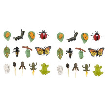 6 Sets Insect Beeldjes Levenscyclus van Vlinder Kikker Lieveheersbeestje Safariologie Groei Cyclus Model Onderwijs Speelgoed