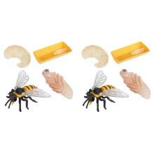 Paquet de 8 Figurines D'Insectes Cycle de Vie de L'Abeille à Miel Figurines D'Insectes Réalistes Jouets Éducatif Science Modèle Jouet