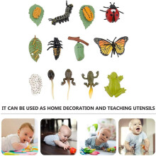 6 Sets Insect Figurines Life Cycle of Butterfly Frog Ladybug Safariology Growth Cycle Model Education Toy