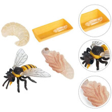 Packung mit 8 Insekten Figuren Lebens Zyklus Der Honigbiene Realistische Insekten Figuren Spielzeug Pädagogisches Modell Spielzeug
