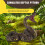 Children'S Toy Snake Model Simulation Reptile  Python  Python Wild Animal Snake Model 4