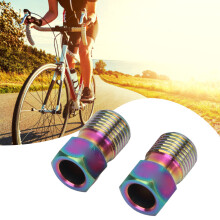 2 Stück Ti-Legierung Fahrradöl-Nadeln Olive Head Hydraulische Scheibenbremsen Montage-Kit Bunt