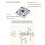 5Pcs AS5600 Magnetic Encoder Magnetic Induction Angle Measurement Sensor Module 12Bit High Precision 9