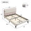 (Double Bed 135x190cm) Biscuit-Shape Velvet Kids' Bed 4