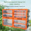 12 Drawer Parts Organizer with Visible Drawers, Stackable Wall Mount Storage Box for Tools and Crafts 2