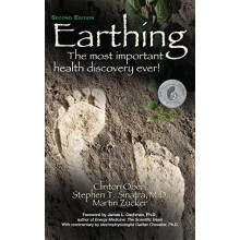 Earthing 2nd Edition by Martin Zucker Hardcover Book
