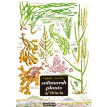 Guide to the Saltmarsh Plants of Britain Other Book