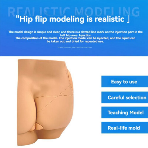 Human Hip Joint Intramuscular Injection Simulator Anatomical Model, Buttocks Care Puncture, Medical Teaching Resources 1