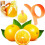 10-Piece Practical Orange Grapefruit Peeler Fruit Peeler Slicing Cutter Lemon Fruit Slicer Ring Kitchen Gadgets 4