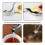 Bird Lemon Squeezer Stainless Steel,Lemon Slice Squeezer,Lemon Squeezer for Beer Bottle,2Pcs 4