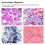 Oculaire Électronique 2MP Numérique USB Microscope Caméra Imageur pour L'Enseignement Scientifique Salle de Classe USB Microscope Imageur 4