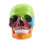 Medical-Skull Human Body Model Education Skull Model 1:2 for Student Teaching Study Assembling Model,Multicolor 1