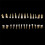 28Pcs Tooth Model 1:1 Permanent Teeth Model Dental Resin Tooth Demonstration Tooth Education Teach Study 4