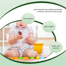 3 Sets Insect Figurines Life Cycle of Butterfly Frog Ladybug Safariology Growth Cycle Model Education Toy