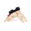 2X Wooden Walking Spider Robot Bionic Spider Robot DIY Assemble Model Science Technology Experiment Kit 5