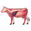 2X Modèle D'Anatomie D'Organe Animal 4D Vache Intelligence Assemblage Jouet Enseignement Modèle D'Anatomie Vache Assemblé Modèle Animal 5