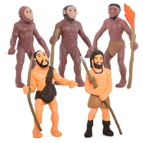 Simulation Human Evolution Models Primitive Figurine Growth Cycle Human Action Figures Educational Toys for Children
