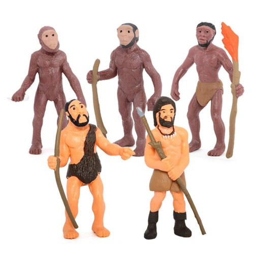 Simulation Human Evolution Models Primitive Figurine Growth Cycle Human Action Figures Educational Toys for Children 2