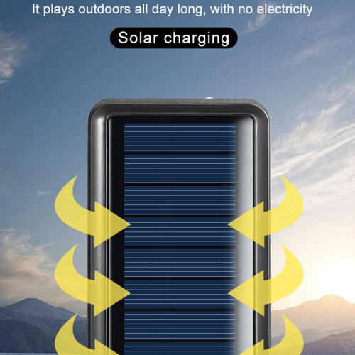 Electronic Scripture Reader 4G, Solar Powered, 900mAh, English & French 2