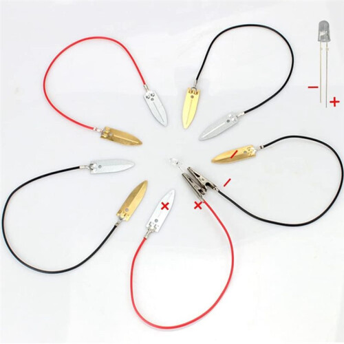 Fruit Battery Science Experiment Kit for Home Teaching Toy, Lemon Potato Battery Physics Teaching Experiment 6 Sets 2