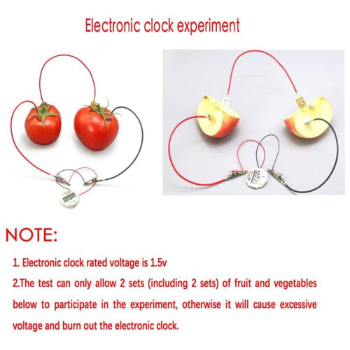 Fruit Battery Science Experiment Kit for Home Teaching Toy, Lemon Potato Battery Physics Teaching Experiment 6 Sets 2