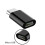 20X Micro-USB-zu-USB-C-Adapter, -zu-Typec-Ladeadapter, USB-Typ-C-Adapter-Konvertierungsanschluss mit Widerstand 2