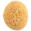 8Pcs Texture Sponge Drywall Texture Sponge Texture Patch Sponge for Texture Repair DIY Painting Ceiling (12 x 9 x 7cm) 7