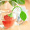 Loose Tea Leaf Strainer Silicone Tea Infuser Teapot Tool Teabag Kettle  Holder Spice Filter Tea Infuser Lemon 4