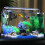 -50 - 70 Digital Aquarium Fish Tank Thermometer with Suction Cup Temperature Sensor Meter Tester 3