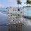 2PCS 36Grids Acrylic Clear Magnetic Seashell Display Box, Diamond Gemstone Beads Storage Display Organizer Box 4