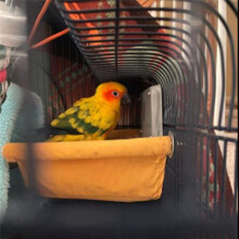 Winter Warm Bird Nest House Shed Hut Hanging Hammock Cage Plush Birds Hut Hideaway for Bird Cage L