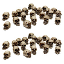 40Pcs Skulls Human  Skull Realistic Skeleton Skulls for Halloween Table Decor